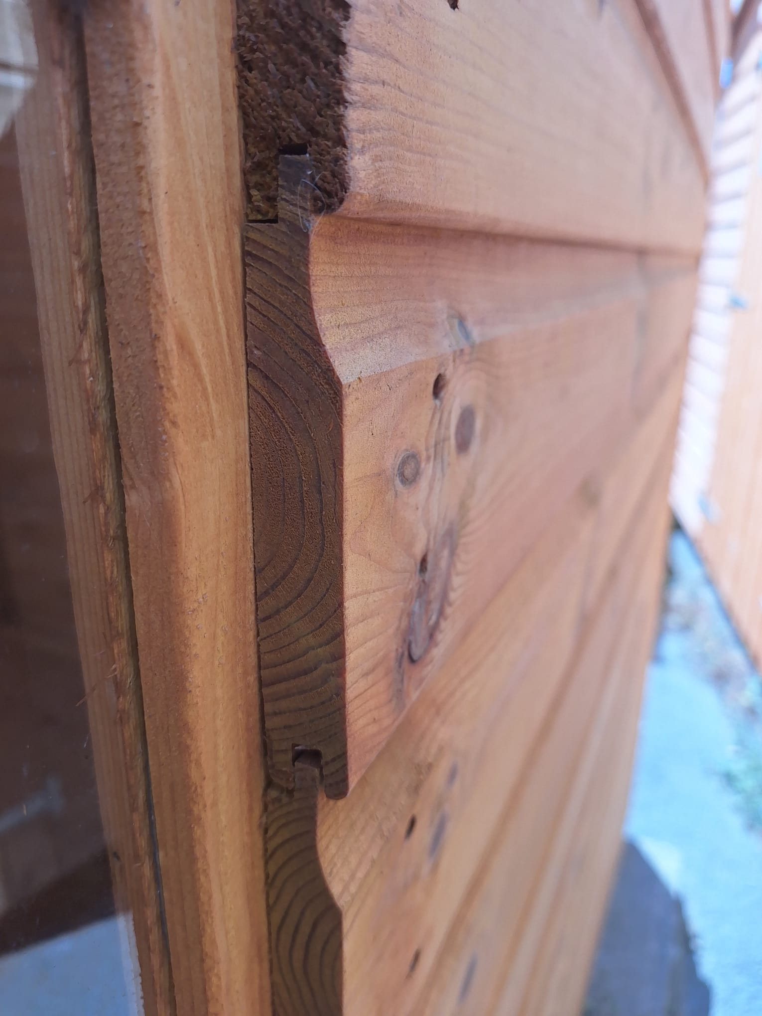 19mm Tongue and Groove Shiplap timber shed board detail